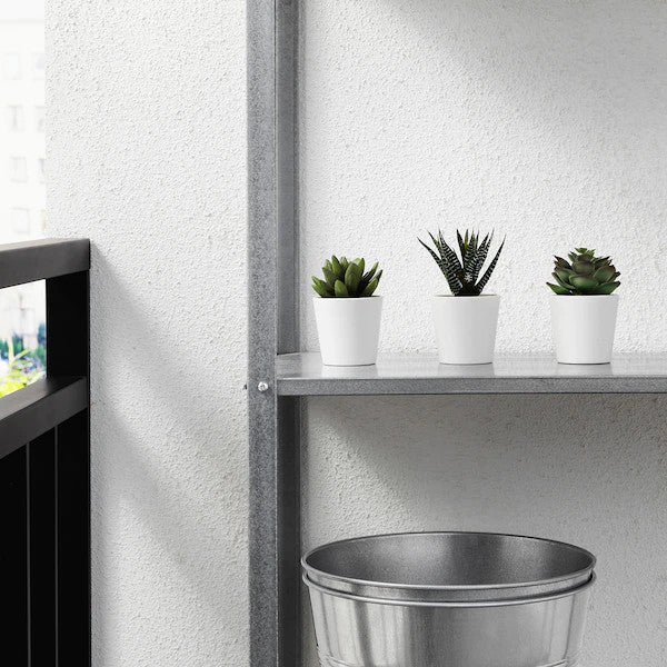 3 Pack of Artificial Succulent Plants in 6cm White Pots - No Watering Needed - SuperSaverAU - view 2