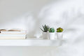 3 Pack of Artificial Succulent Plants in 6cm White Pots - No Watering Needed - SuperSaverAU - view 4
