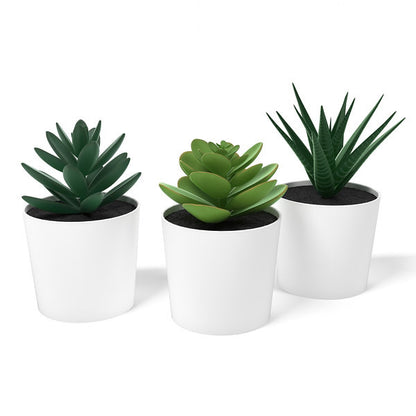3 Pack of Artificial Succulent Plants in 6cm White Pots - No Watering Needed