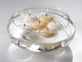 50 Pack of 4 Hour White Floating Candles - 4cm diameter - wedding party decoration - SuperSaverAU - view 3