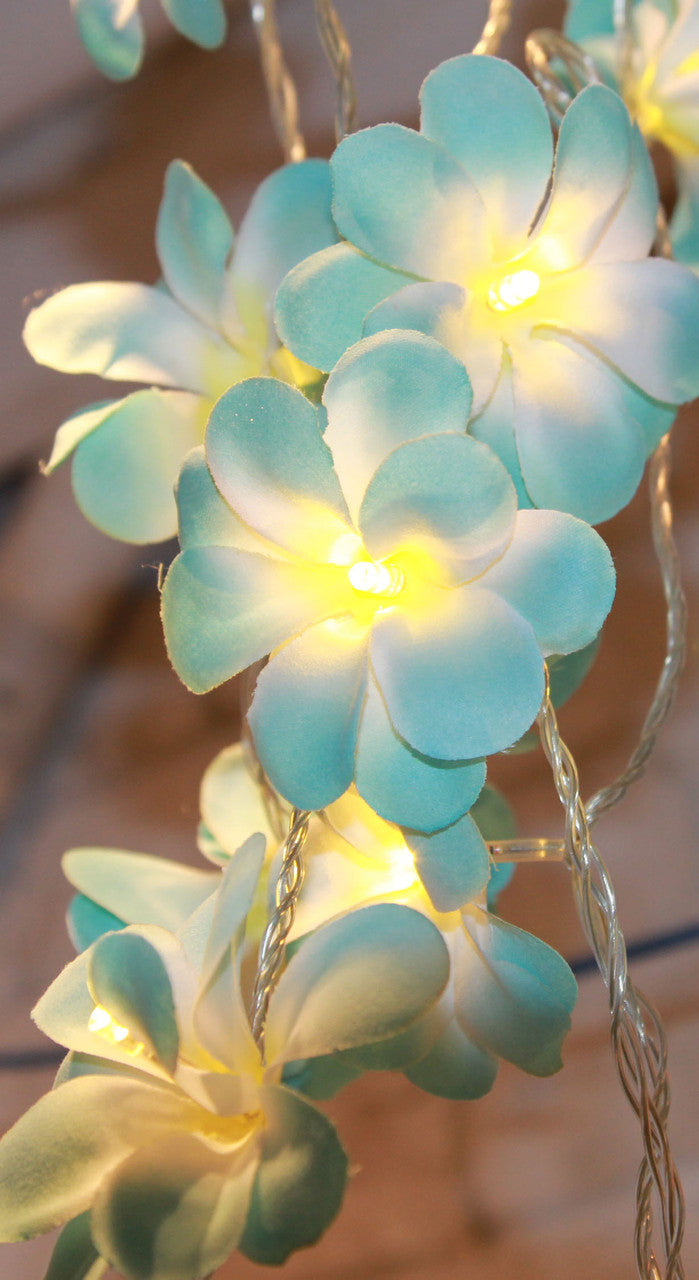 1 Set of 20 LED Tropical Blue Frangipani Flower Battery 3m String Lights Christmas Gift Home Wedding Beach Party Decoration Outdoor Table Centrepiece - SuperSaverAU - view 2