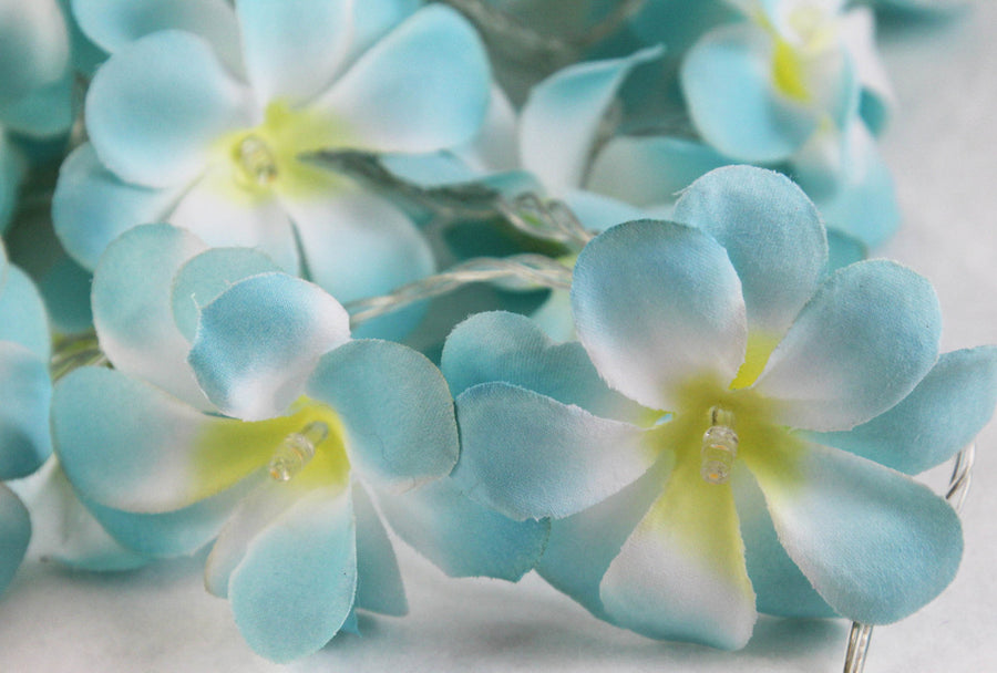 1 Set of 50 LED Tropical Blue Frangipani Flower Battery 5m LONG String Lights Christmas Gift Home Wedding Beach Party Decoration Outdoor Table Centrepiece - SuperSaverAU - view 1