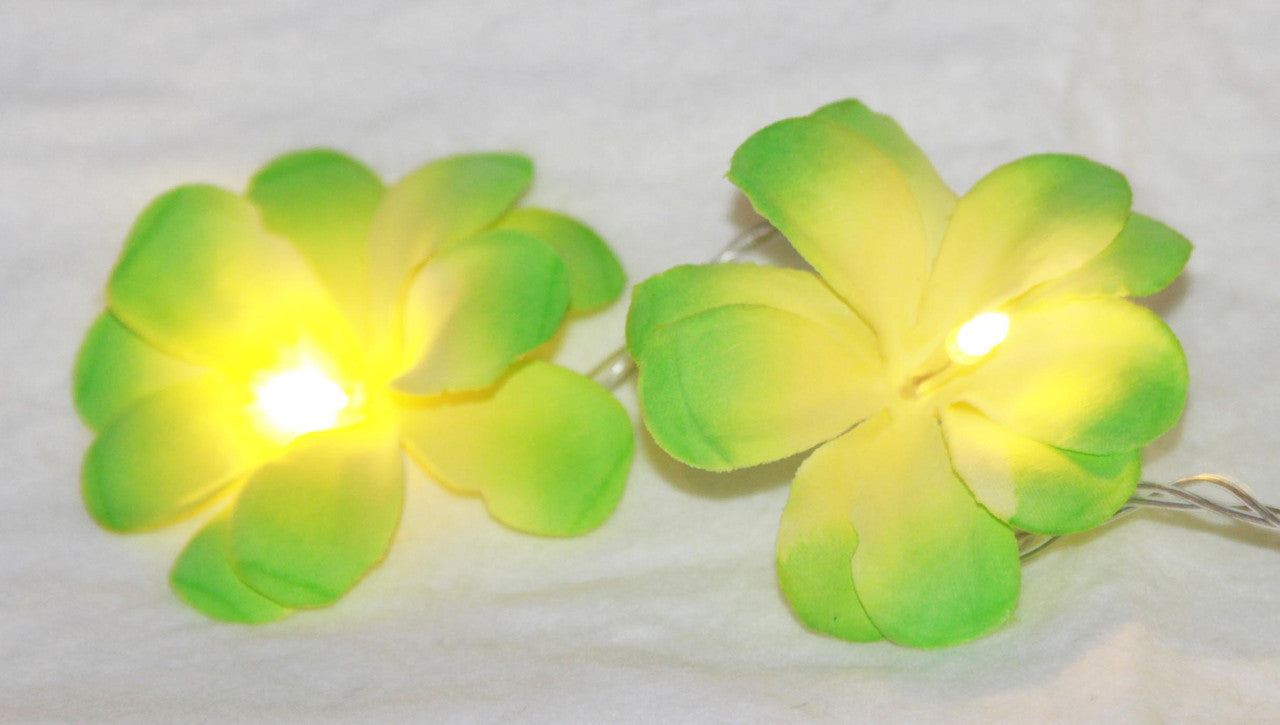 1 Set of 20 LED Green Frangipani Flower Battery String Lights - SuperSaverAU - view 1
