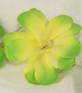 1 Set of 20 LED Green Frangipani Flower Battery String Lights - SuperSaverAU - view 4