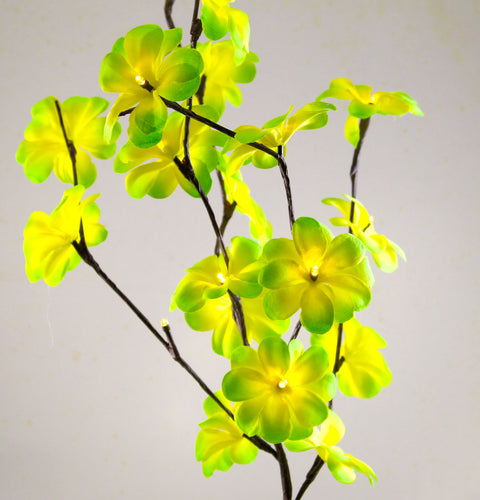 Green Frangipani Stem Fairy Lights 50cm H 20 LED Battery Operated Table Centrepiece - SuperSaverAU - view 1