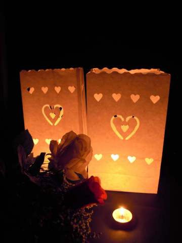 50 Pack White Heart in a Heart Luminary Paper Candle Tea Light Lantern Bags Wedding Garden Anniversary Birthday Night Decorations Evening Party