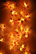 1 Set of 20 LED Orange Frangipani Flower Battery String Lights Christmas Gift Home Wedding Party Decoration Outdoor Table Garland Wreath - SuperSaverAU - view 3