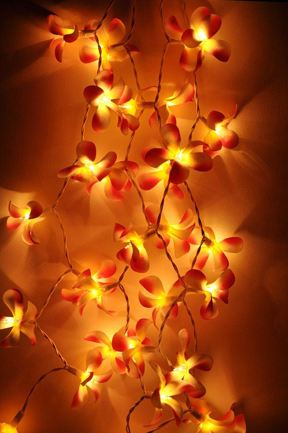 1 Set of 20 LED Orange Frangipani Flower Battery String Lights Christmas Gift Home Wedding Party Decoration Outdoor Table Garland Wreath - SuperSaverAU - view 3
