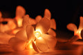 1 Set of 20 LED Orange Frangipani Flower Battery String Lights Christmas Gift Home Wedding Party Decoration Outdoor Table Garland Wreath - SuperSaverAU - view 4