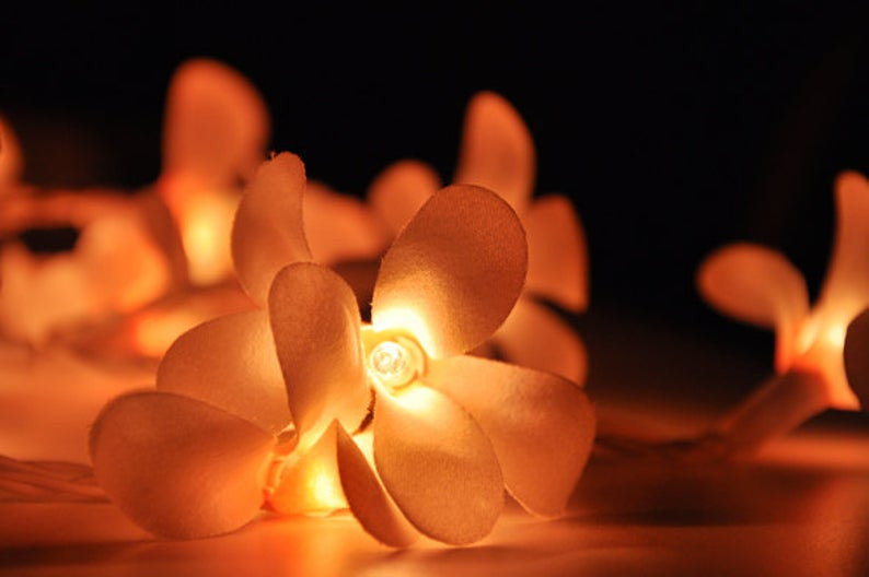 1 Set of 20 LED Orange Frangipani Flower Battery String Lights Christmas Gift Home Wedding Party Decoration Outdoor Table Garland Wreath - SuperSaverAU - view 4