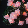 Premium Pink Rose 3D Fairy Lights - 50 LEDs, 5m