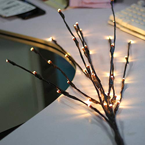 50cm LED Light Stem 20 Warm White Fairy Lights with Petal Accents