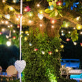 Premium Rainbow 3D Hollowed Rattan Heart Fairy Lights - 50 LEDs, 5m