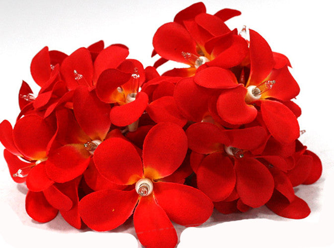 1 Set of 20 LED Deep Red Frangipani Flower Battery String Lights Christmas Gift Home Wedding Party Decoration Outdoor Table Garland Wreath - SuperSaverAU - view 1