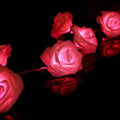 Red Rose Battery String Fairy Lights - Romantic Decor for Weddings & Parties - SuperSaverAU - view 3