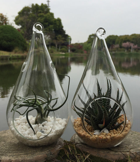 10 Pack of Hanging Clear Glass Tealight Candle Holder Tear Drop Pear Hour Glass Shape - 20cm High Terrarium Plant Mini Garden Holder Decoration Craft Gift - SuperSaverAU - view 2