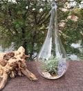 4 Pack of Clear Glass Hanging Tear Drop Tea Light Holders - 20cm High - SuperSaverAU - view 4
