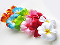 1 Set of 20 LED Tropical Bright Colous Frangipani Flower Battery String Lights Christmas Gift Home Wedding Party Decoration Outdoor Table Centrepiece - SuperSaverAU - view 2
