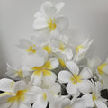 1 Set of 20 LED White Frangipani Flower Battery String Lights Christmas Gift - SuperSaverAU - view 1