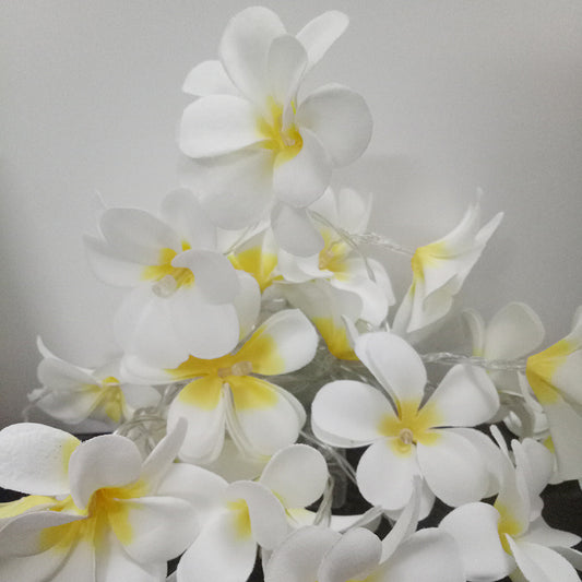 1 Set of 20 LED White Frangipani Flower Battery String Lights Christmas Gift