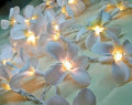 1 Set of 20 LED White Frangipani Flower Battery String Lights Christmas Gift - SuperSaverAU - view 2
