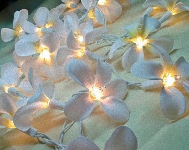 1 Set of 20 LED White Frangipani Flower Battery String Lights Christmas Gift - SuperSaverAU - view 2