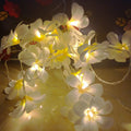 1 Set of 20 LED White Frangipani Flower Battery String Lights Christmas Gift - SuperSaverAU - view 3
