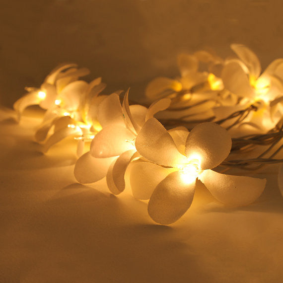 1 Set of 20 LED White Frangipani Flower Battery String Lights Christmas Gift - SuperSaverAU - view 4