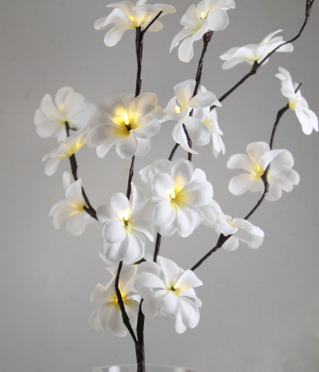 White Frangipani Stem Fairy Lights 50cm H 20 LED Battery Operated Table Decoration - SuperSaverAU - view 1