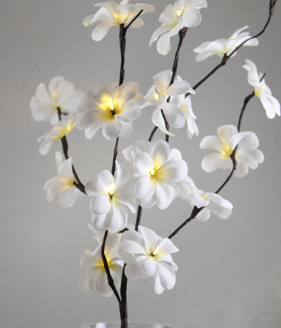 White Frangipani Stem Fairy Lights 50cm H 20 LED Battery Operated Table Decoration - SuperSaverAU - view 1