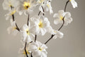 White Frangipani Stem Fairy Lights 50cm H 20 LED Battery Operated Table Decoration - SuperSaverAU - view 2