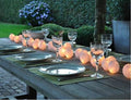 20 White 5cm Ball battery string LED - wedding party home event decoration - SuperSaverAU - view 1