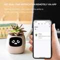Premium Smart Plant Pot with LCD Screen & App Connection - Pink