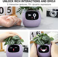 Premium Smart Plant Pot with LCD Screen & App Connection - Pink
