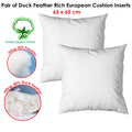 Duck Feather Rich Fill European Cushion Inserts 65 x 65 cm - 2 Pack - SuperSaverAU - view 2