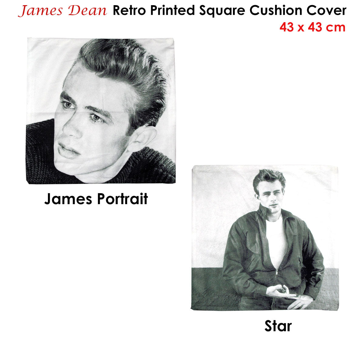 James Dean Retro Printed Square Cushion Cover 43 x 43 cm - Vintage Design - SuperSaverAU - view 2