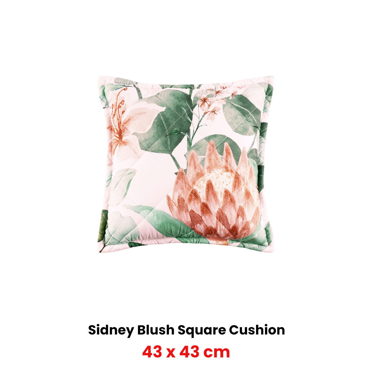 Bianca Sidney Square Filled Cushion – Blush Floral 43 x 43cm