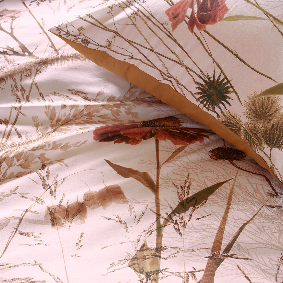 Bedding House Cely Cotton Floral Quilt Cover Set 144TC - Multi, Queen