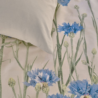Bedding House Cornflower Sand Queen Cotton Percale Quilt Cover Set - Floral