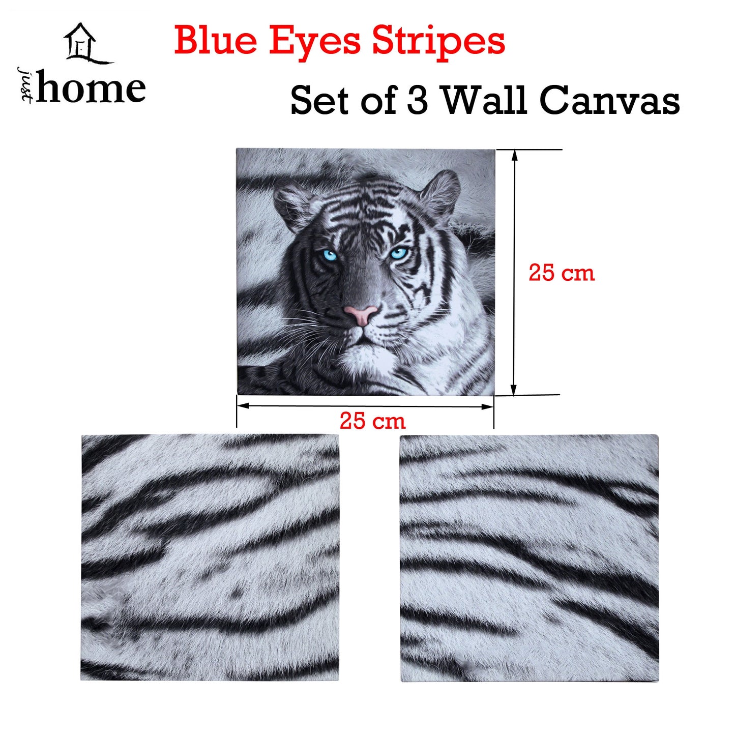 Just Home Set of 3 Printed Blue Eyes Stripes Tiger Wall Canvas 25x25 cm