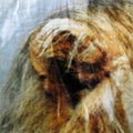 800GSM Luxury Reversible Animal Pattern Mink Blanket Queen 200 x 240 cm Lion Tiger Brown - SuperSaverAU - view 2