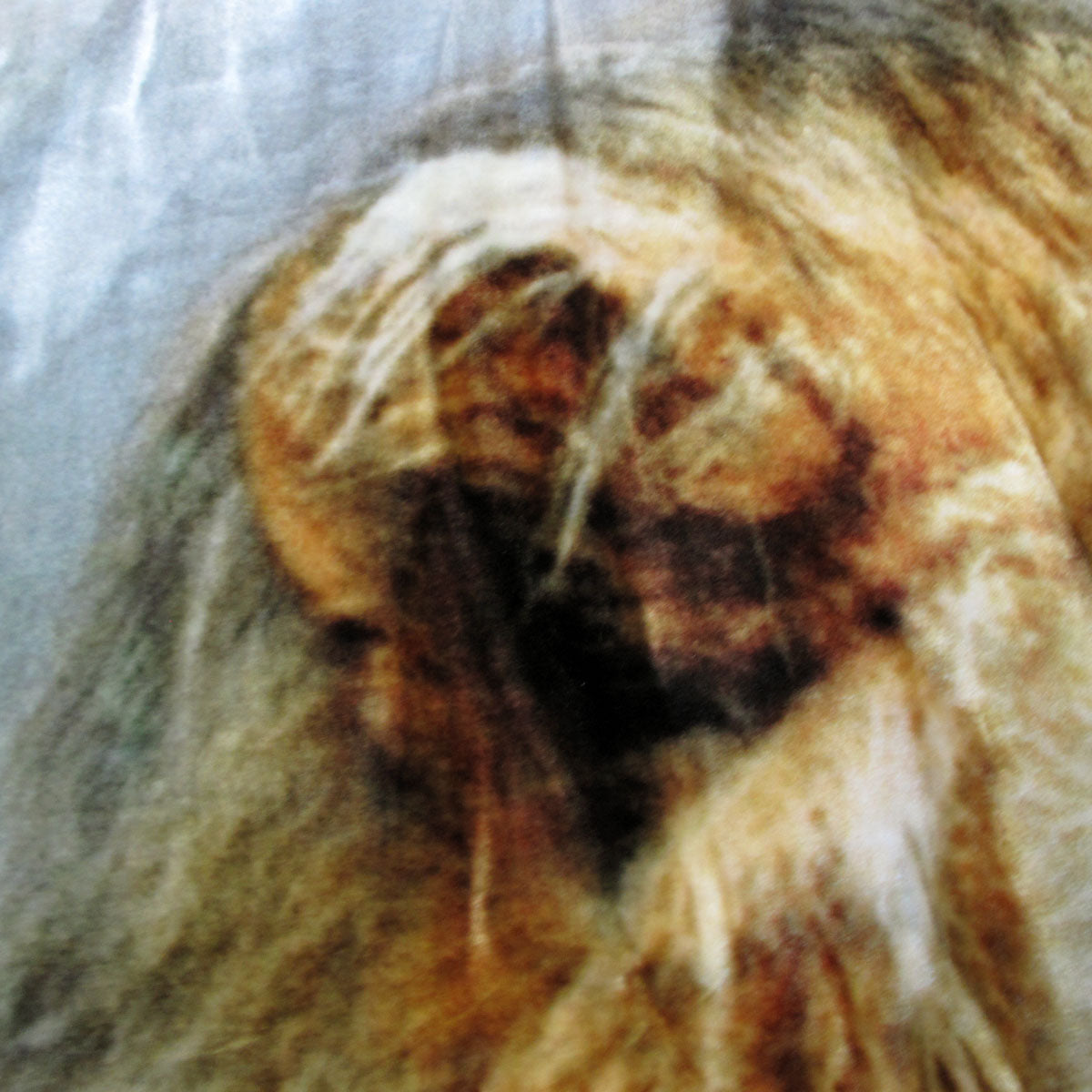800GSM Luxury Reversible Animal Pattern Mink Blanket Queen 200 x 240 cm Lion Tiger Brown - SuperSaverAU - view 2