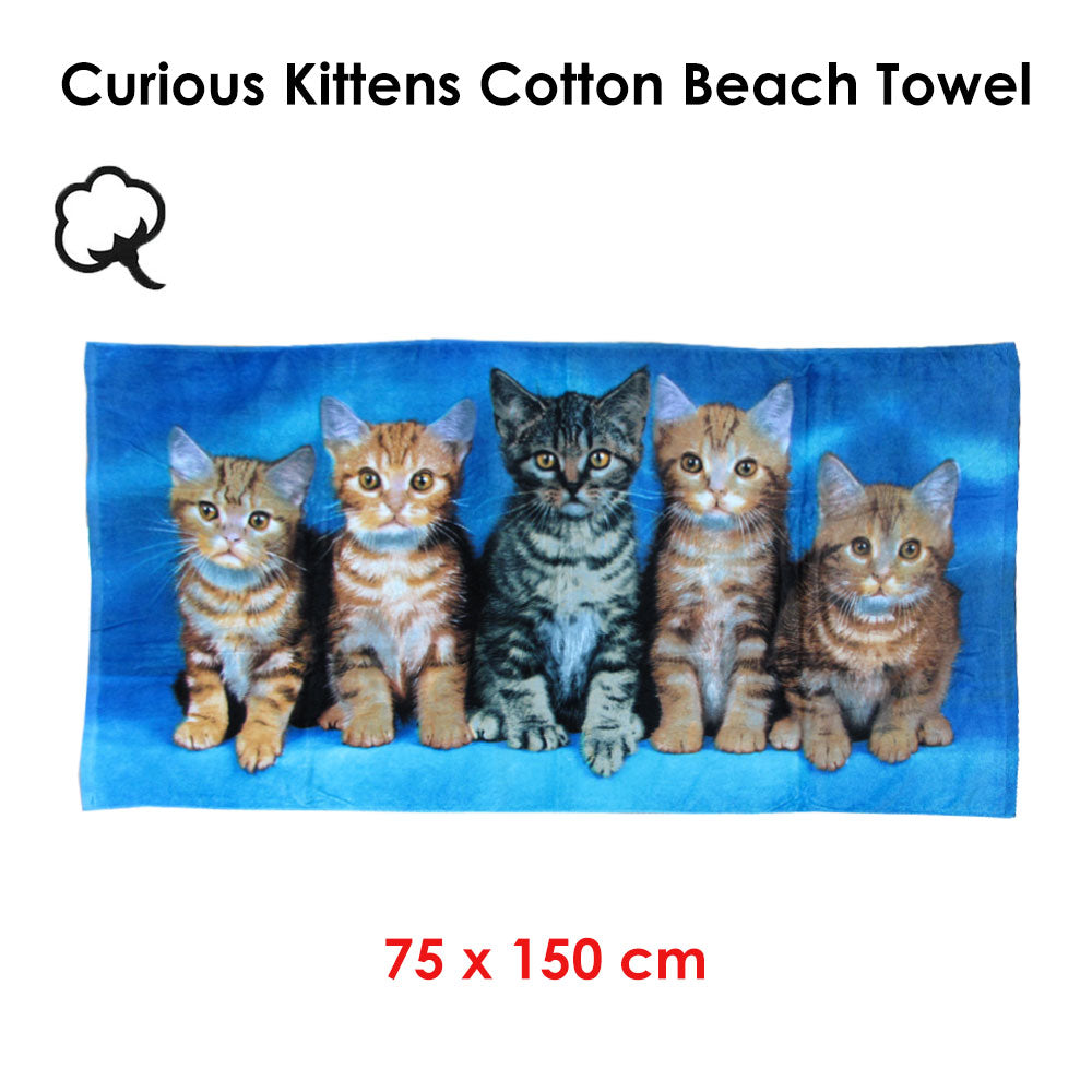Premium Curious Kittens Cotton Beach Towel with Kitten Print - 75 x 150cm