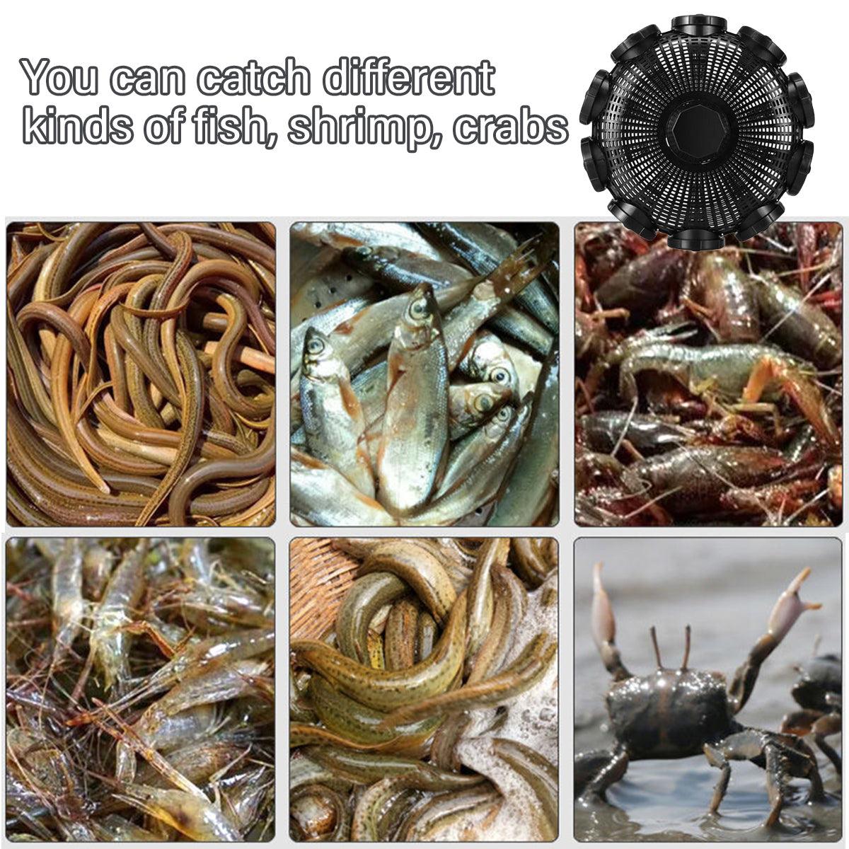 10Hole Eel Fishing Trap Cage Loach Fish Shrimp Net Folding Portable Catch Basket - SuperSaverAU - view 4