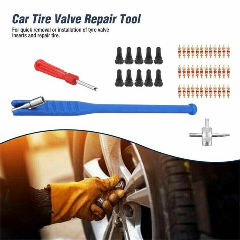 Premium 43 Piece Car Tyre Valve Tool Set with Stem Puller