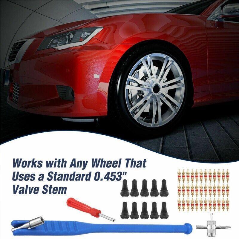 Premium 43 Piece Car Tyre Valve Tool Set with Stem Puller