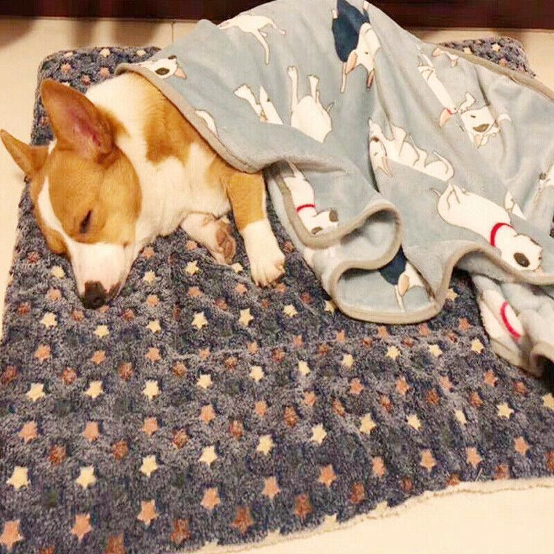 Premium Soft Pet Cushion Mattress Warm Pad - Blue Brownstar S