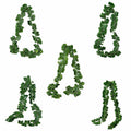 Premium Artificial Ivy Vine Leaf Garland – Scindapsus Leaves 12 x 2m