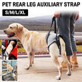 Decompression Back Leg Strap Support Harness Aid for Injured Dogs - L - SuperSaverAU - view 1