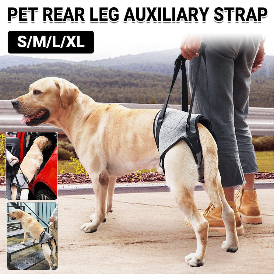 Decompression Back Leg Strap Support Harness Aid for Dogs - XL - SuperSaverAU - view 1